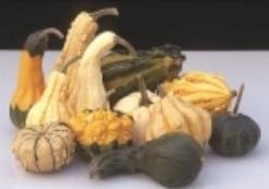 [A-018172] Harrow Smith Select kalebas basiseenheid