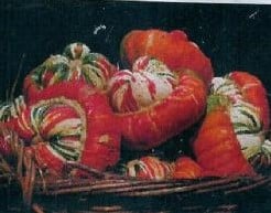 [A-001094] Turkse Muts Reuzen Pompoen 250 zaden