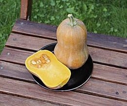 [A-011698] Honeynut Butternut Flespompoen zaden