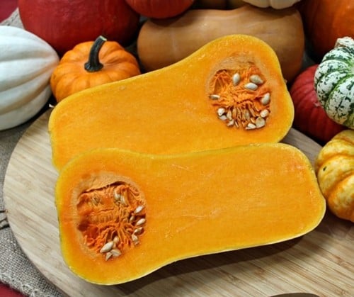 [A-023691-2] Butternut Emily F1 Vroege flespompoen kleinverpakking