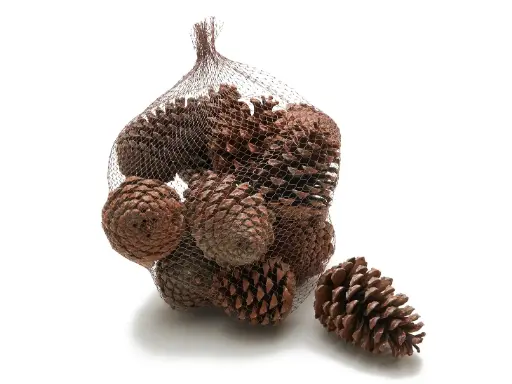 [A-027784] Dennenappels Maritima Grote dennenappel Naturel 12cm 12 stuks 