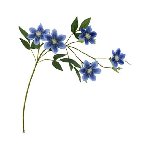 [A-028067] Clematis Dubbel Blauw Zijdenbloem 78 cm per stuk