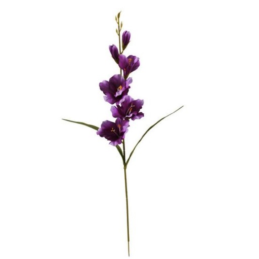 [A-028051] Gladiool Paars Zijdenbloem 60 cm per stuk
