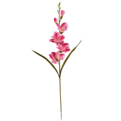 [A-028050] Gladiool Roze Zijdenbloem 60 cm per stuk