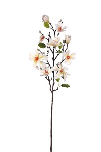 [A-028020] Magnolia tak Ivory/Crème Zijdenbloem 80 cm per stuk